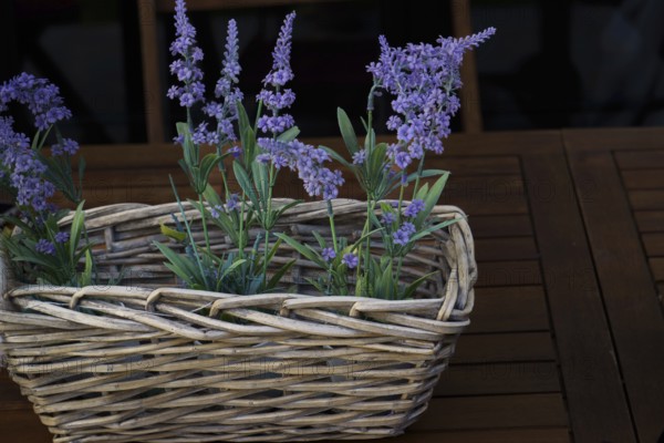 Wicker basket with decorative lavender bouquet on a wooden table in the garden