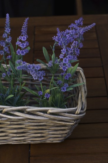 Wicker basket with decorative lavender bouquet on a wooden table in the garden