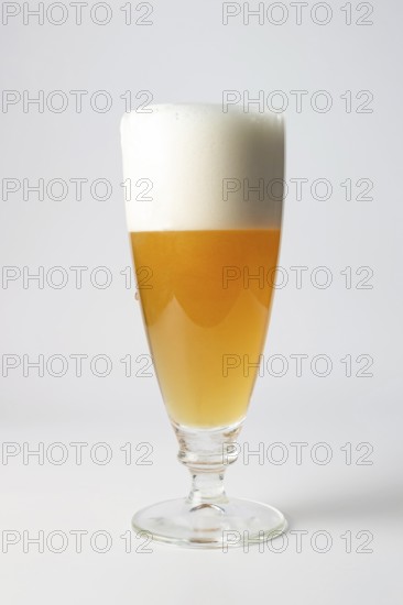 Glass of beer on a white background isolate