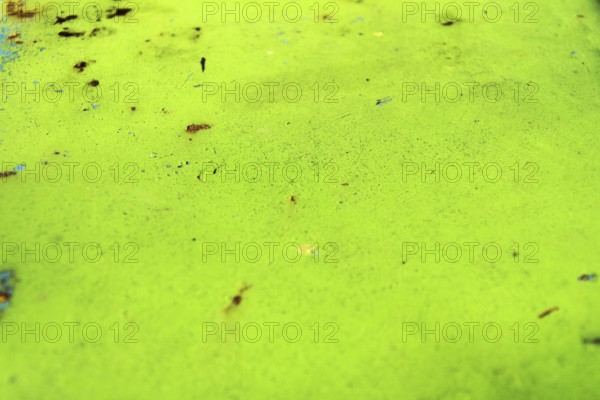 Green rusty metal background, Prague, Czech republic