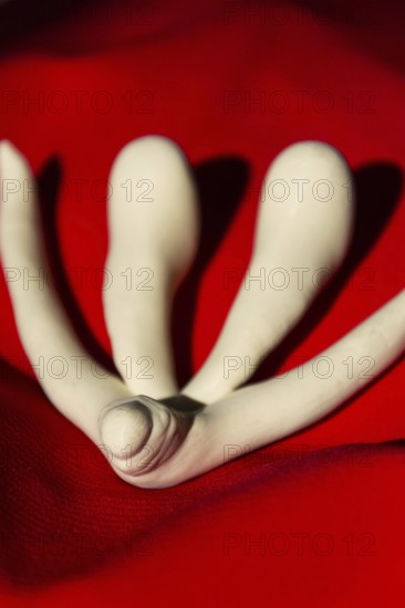 3d printed female sex organ clitoris for human anatomy lessons