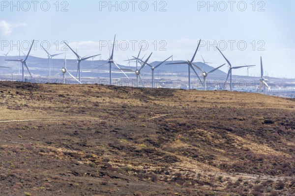 Onshore wind turbines at wind farm on sunny summer day, sustainable renewable electricity concept, Tenerife, Spain