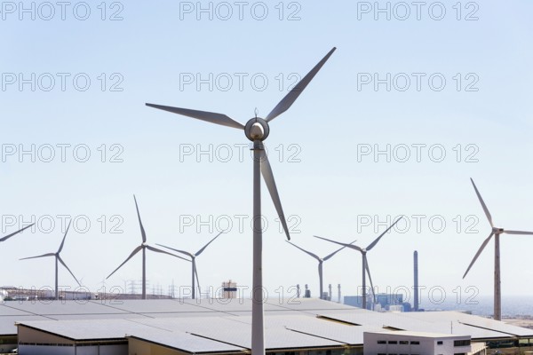 White turbines at wind farm with power station and sea in background, arid landscape on sunny summer day, sustainable renewable electricity concept, Tenerife, Spain