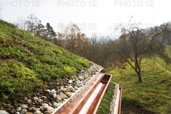 Wooden house with extensive green living roof covered with vegetation Liberec Czech republic