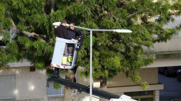 Two unrecognizable utility workers operate hydraulic lift to repair street light in residential area with lush greenery on clear sunny day. Elevated platform safely reaching lamp post, essential urban maintenance, checks and public safety work, Lisbon, Portugal