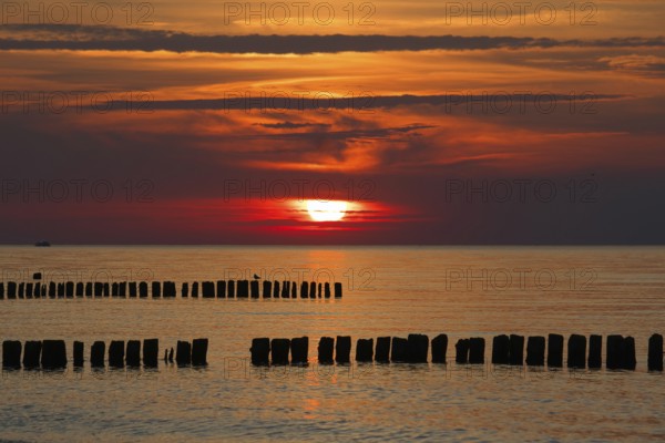 A serene sunset over the sea with wooden groynes and an orange sky, creating a peaceful atmosphere. Baltic, sea, Poland, Kolobrzeg