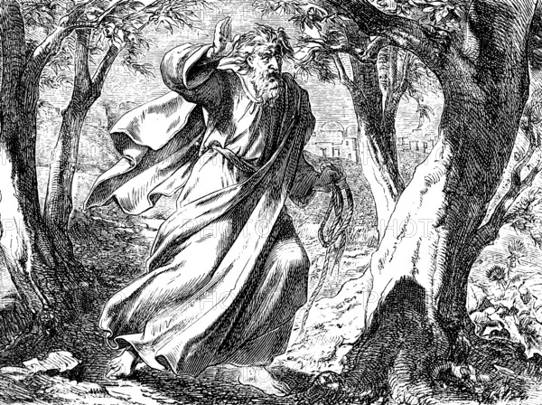 The end of the traitor Judas, Judas repents of his betrayal, Gospel Matthew, chapter 27, returns the pieces of silver out of repentance, blood money, rope, trees, curse, guilty conscience, New Testament, Bible, historical illustration 1877