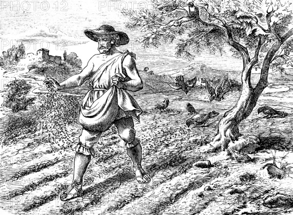 The sower in the field, Gospel of Matthew, chapter 13, farmer, sowing, landscape, agriculture, birds picking seeds, tree, building, New Testament, Bible, historical illustration 1877