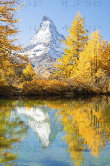 Matterhorn Mountain and Yellow Golden Larches in Autumn on Sunny Day. Reflection in Lake Grindjisee. Fall Colors. Swiss Alps. Valais, Switzerland