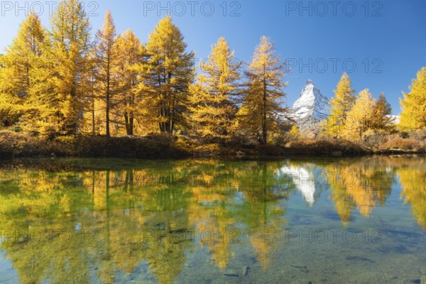 Matterhorn Mountain and Yellow Larches in Autumn on Sunny Day. Reflection in Lake Grindjisee. Swiss Alps. Valais, Switzerland