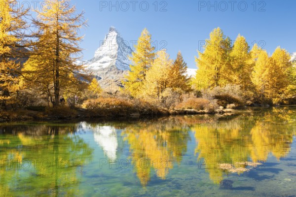 Matterhorn Mountain and Yellow Larches in Autumn on Sunny Day. Reflection in Lake Grindjisee. Fall Colors. Swiss Alps. Valais, Switzerland