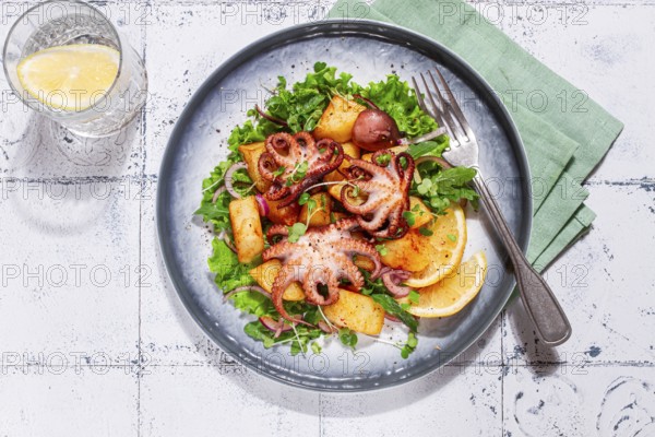 Warm grilled octopus salad with potatoes and fresh herbs, on a stylish plate, homemade