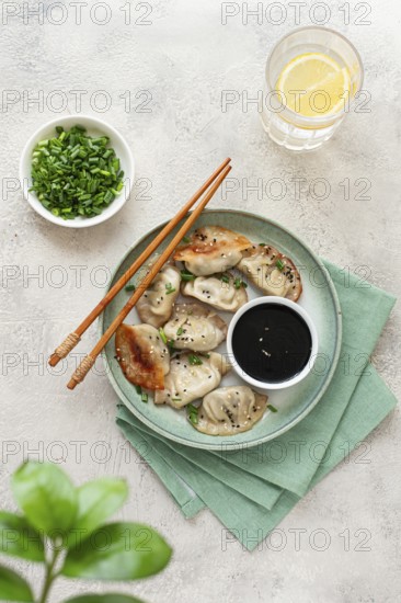 Gyoza Japanese dumplings, fried, with sauce, green onion, and sesame seeds, natural color, light background