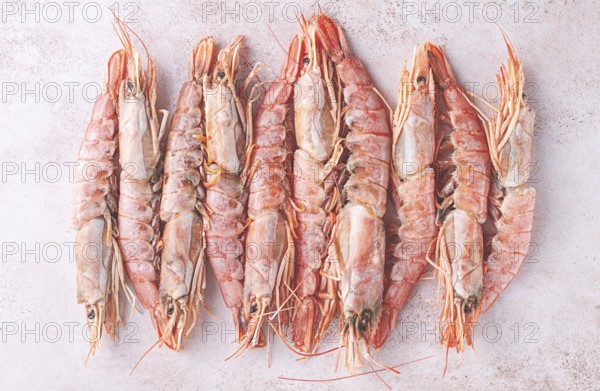 Freshly frozen shrimps, Argentine shrimps, langoustines, neatly laid out on the surface, top view