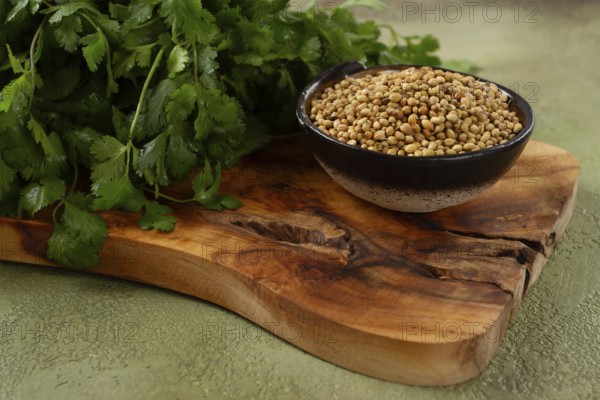 A bunch of fresh cilantro, coriander seeds and bowls, close-up, top view, no people, food and drinks