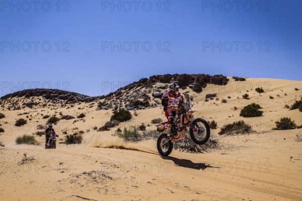 Sahara, desert, Algeria, dune, sand, expanse, landscape, panorama, endless, danger, heat, adventure, tag hit, away from civilization, rally, rally, bike, motorcycle, extreme sports, action, Wheely