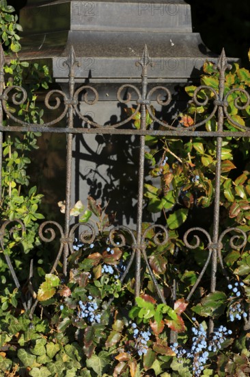 A heritage-protected cemetery near St. Marien Church, Lüdersen mountain village, city of Springe, Hanover region, Lower Saxony, Germany