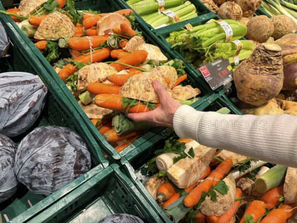 Fresh vegetables from the supermarket