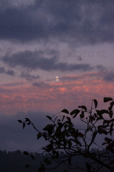 The moon shines through thick clouds in the evening sky, colored in shades of purple and pink with a delicate silhouette in the foreground, Piedmont, Italy