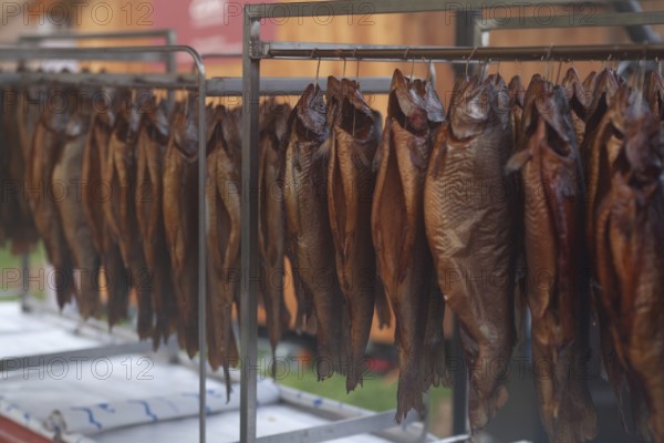 Row of freshly smoked fish, Bavaria, Germany