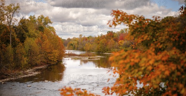 Vibrant autumn trees along a river under a cloudy sky along the Thames River Valley in London, Ontario, Canada