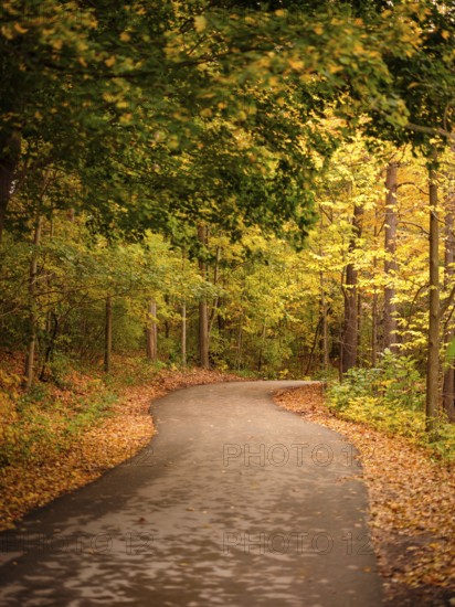 Winding path through a forest with trees in autumn foliage along the Thames Valley Parkway in London, Ontario, Canada