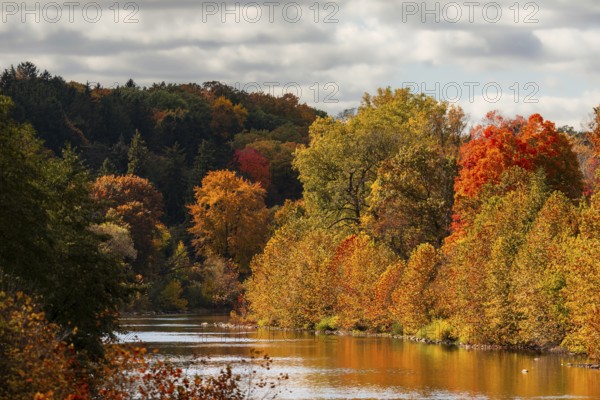 Scenic river surrounded by vibrant autumn foliage under a cloudy sky along the Thames River Valley in London, Ontario, Canada