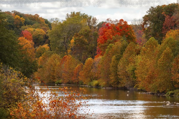 A river gently flowing through a landscape of colorful autumn trees in the Thames River Valley, London, Ontario, Canada