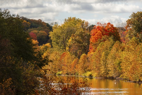 A picturesque scene of a river winding through a forest of bright autumn trees in the Thames River Valley in London, Ontario, Canada