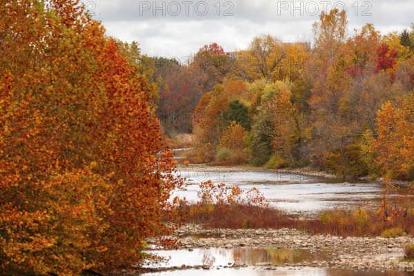 A tranquil river surrounded by lush autumn trees in vivid hues in the Thames River Valley in London, Ontario, Canada