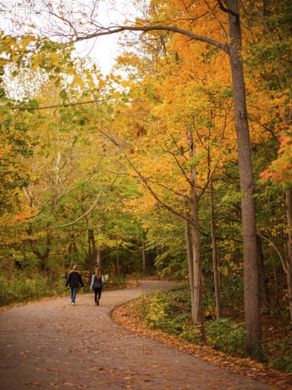 Couple walking on a winding path through a serene forest with autumn colors along the Thames Valley Parkway in London, Ontario, Canada