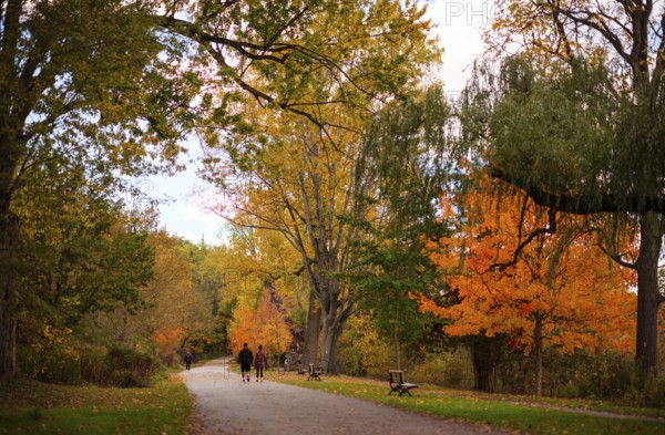 People walking along a path with autumn trees and benches along the Thames Valley Parkway in London, Ontario, Canada