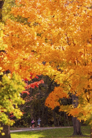 People jog along a path framed by brilliant autumn foliage along the Terry Fox Parkway in Greenway Park, London, Ontario, Canada