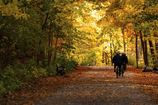 Cyclists riding along a tree-lined path during autumn with vibrant orange foliage along the Thames Valley Parkway in London, Ontario, Canada