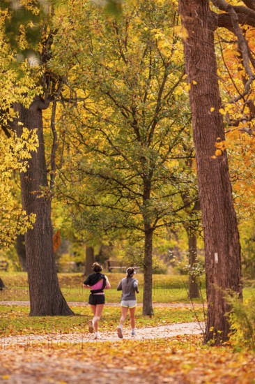 Two runners on a path surrounded by colorful autumn trees along the Terry Fox Parkway in Greenway Park, London, Ontario, Canada