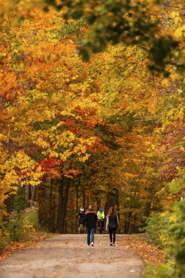 Several people walking on a path under a canopy of autumn leaves on the Thames Valley Parkway in Springbank Park, London, Ontario, Canada