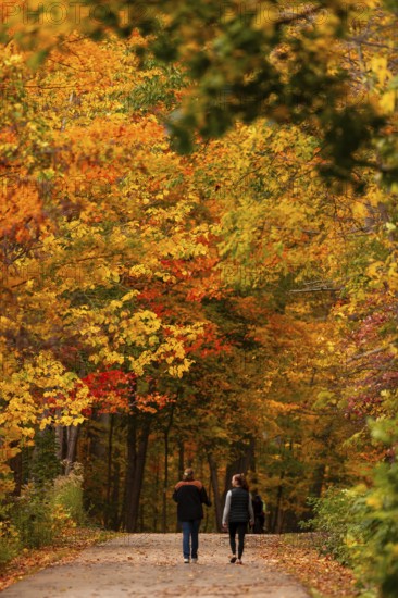 A couple walks along a path adorned with vibrant fall colors on the Thames Valley Parkway in Springbank Park, London, Ontario, Canada