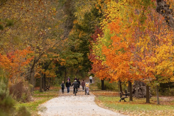 People strolling along a park path surrounded by vibrant autumn trees on the Thames Valley Parkway in Springbank Park, London, Ontario, Canada