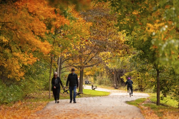 People walking along a tree-lined path covered with colorful autumn leaves on the Thames Valley Parkway in Springbank Park, London, Ontario, Canada