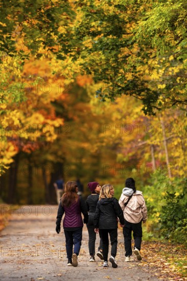 Friends walking along a forest path adorned with stunning autumn colors on the Thames Valley Parkway in Springbank Park, London, Ontario, Canada