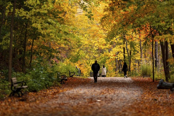 People walking along a wide path enveloped by warm autumn hues along the Thames Valley Parkway in Springbank Park, London, Ontario, Canada