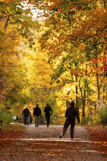 People walking on a forest path surrounded by vibrant autumn foliage on the Thames Valley Parkway in Springbank Park, London, Ontario, Canada