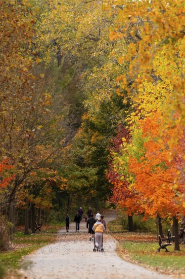 Park path scene with people walking and strollers amidst vibrant autumn foliage on the Thames Valley Parkway in Springbank Park, London, Ontario, Canada