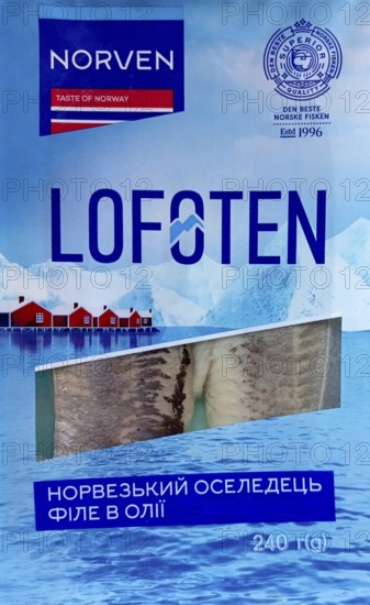 Norwegian herring fillets in oil, packaged. Atlantic herring caught off the coast of the Lofoten Islands and processed into canned fish in oil is exported for sale to Ukraine
