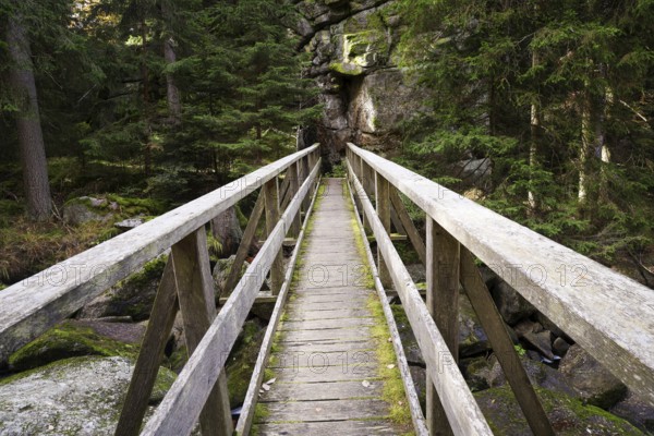 A small wooden bridge leads through a forest, surrounded by rocks and tall trees, Höllfall Arbesbach Waldviertel Lower Austria Austria
