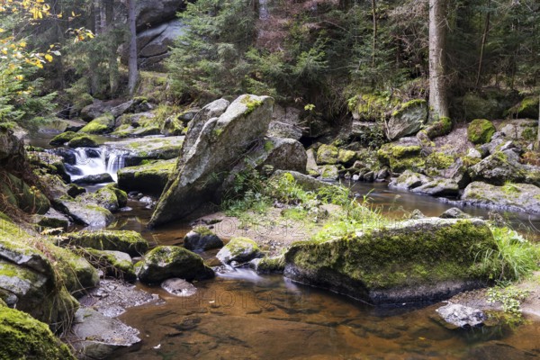 A shallow stream crosses the mossy rocky landscape in a quiet forest, Höllfall Arbesbach Waldviertel Lower Austria Austria