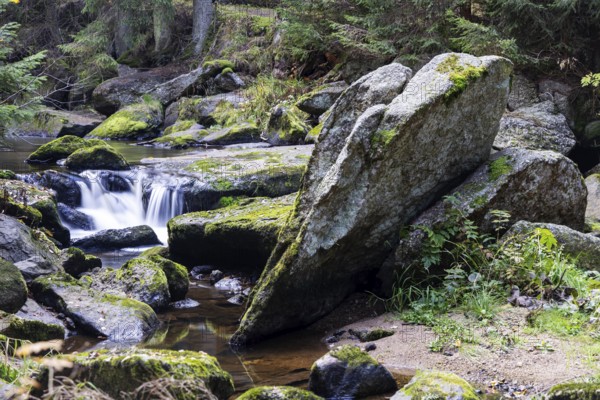 A stream flows over large, moss-covered stones and creates a peaceful atmosphere, Höllfall Arbesbach Waldviertel Lower Austria Austria