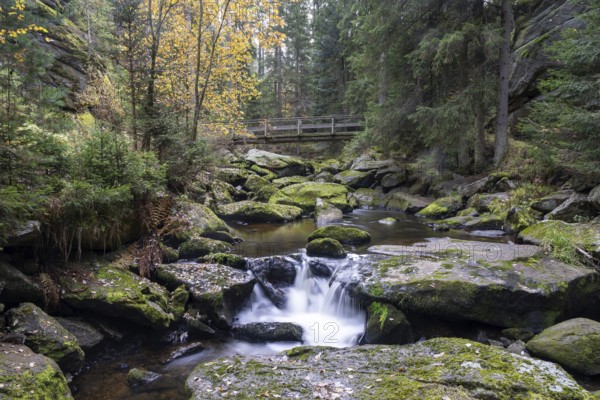 A small waterfall flows over mossy rocks in autumn forest, Höllfall Arbesbach Waldviertel Lower Austria Austria