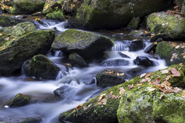 Flowing water over moss-covered stones surrounded by autumn leaves in the forest, Höllfall Arbesbach Waldviertel Lower Austria Austria