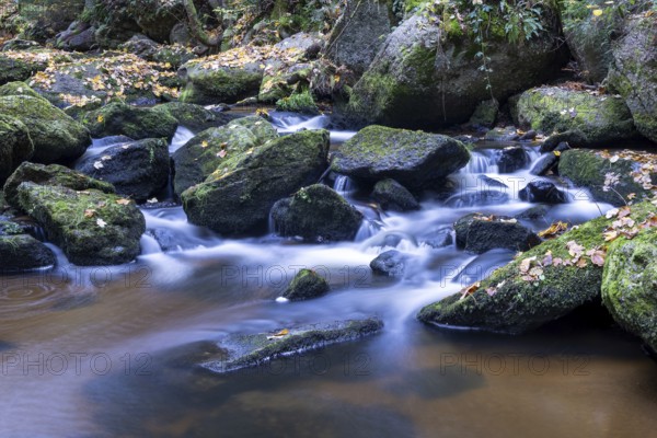 Flowing water over moss-covered stones in a quiet forest, surrounded by autumn tones, Höllfall Arbesbach Waldviertel Lower Austria Austria